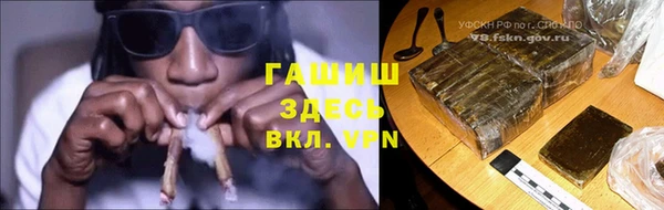 прущие грибы Белокуриха