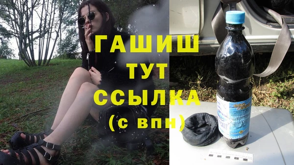 прущие грибы Белокуриха