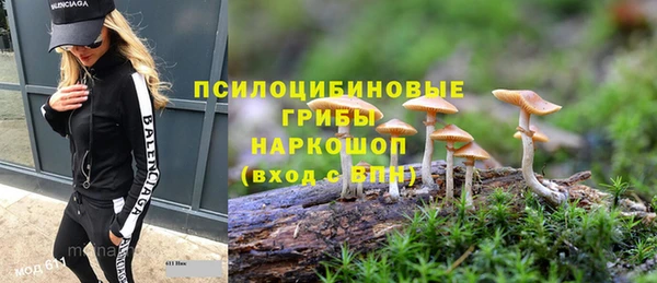 прущие грибы Белокуриха