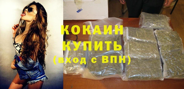 прущие грибы Белокуриха