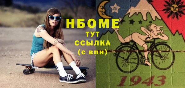 прущие грибы Белокуриха