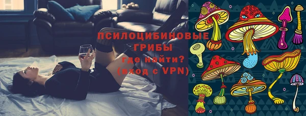 прущие грибы Белокуриха