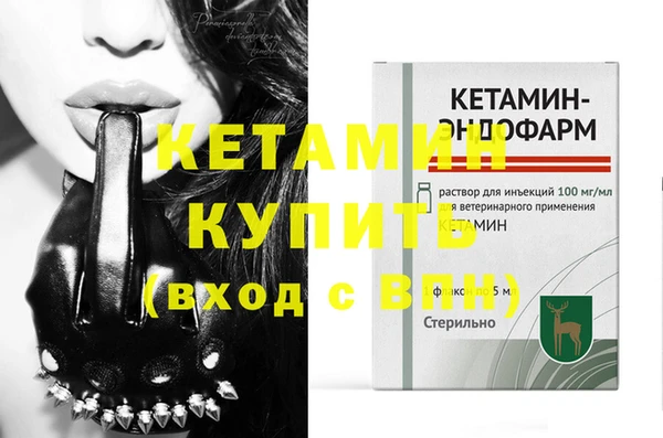 прущие грибы Белокуриха