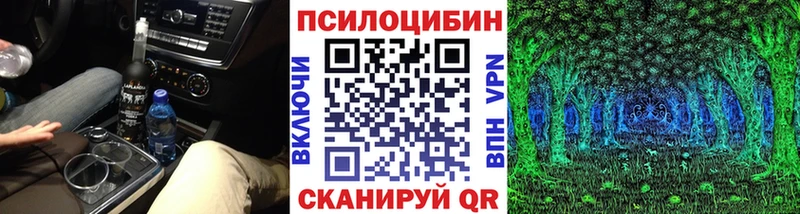 ОМГ ОМГ ТОР  Кувандык  Псилоцибиновые грибы Psilocybe 